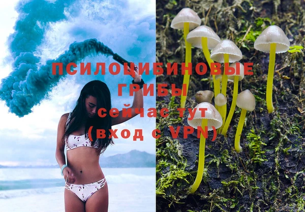 ECSTASY Зеленокумск