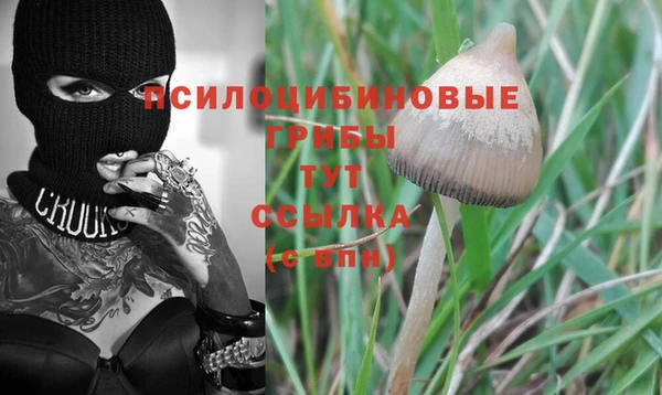 a pvp Зерноград